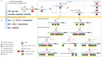 Search for MHC/TCR-Like Systems in Living Organisms